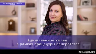 Единственное жилье в банкротстве. Часть I (Могут ли его забрать? Актуальная информация на 2022 г.)