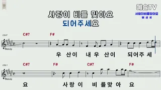 사랑이 비를 맞아요   🎤제대로 배워보자🎤  ♡노래강사 예솔TV♡  배금성 노래