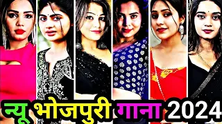 न्यू भोजपुरी गाना 2024 | bhojpuri tik tok | bhojpuri song | bhojpuri reels | bhojpuri video
