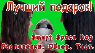 Никто не останется равнодушным! Скидка! Смарт Проектор Space Dog. Распаковка. Обзор. Тестирование.