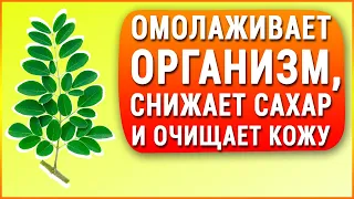 ОНО снижает сахар, улучшает память, зрение, запускает очищение организма - аутофагию, даёт энергию!