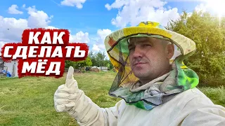 Как сделать мёд? Родная деревня Удеревка