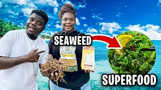 How Three Young Ladies Started A Lucrative Business Out Of Sea Weeds In Tanzania 🇹🇿