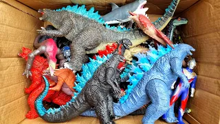 Hunting Found Godzilla, Mecha Godzilla, Kingkong, Monster, Eagle, Ultraman, Megalodon Shark