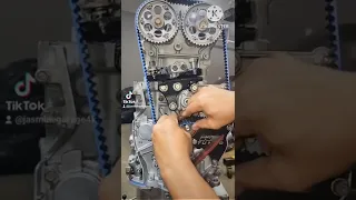 BlueGates Timing Belt! Installing on Honda Prelude H Engine