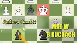 STAFFORD GAMBIT - Mat w 8 ruchach i wiele innych pułapek !!!