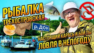 Бешеный клёв в Трехостровской на Дону| Два дня в непогоду и днем и ночью!