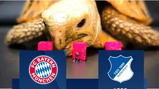 Bayern Munich vs Hoffenheim Prediction - Bundesliga - Turtle Prediction