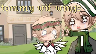 tommy wif wings || tommyinnit wing au || dsmp