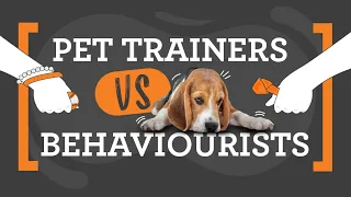 Dog Trainers VS Behaviourists: What's the Difference? Dr Cath Watson Explains