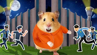 🐹 Hamster Escape From Prison Maze🐹 | Cuties Life