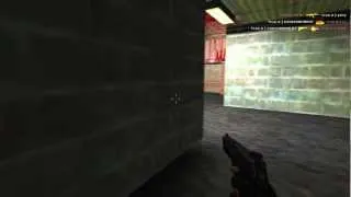 DANGERMOMENT ace [m4a1+usp].mp4