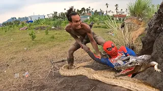 TVH13 Terrified, A Young Man Confronts 100 Carnivorous Crocodile and Giant Python To Save Spider-Man