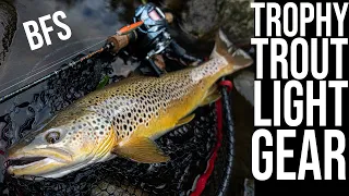 Trophy Brown Trout on Light Gear - BFS Fishing in Wales, UK.