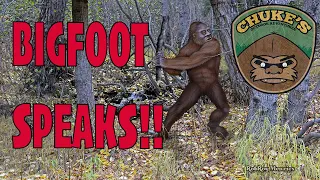 Does Bigfoot Have a Language?