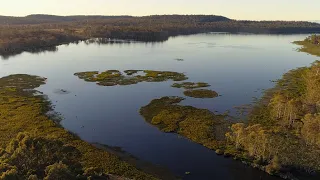 Fly Fishing Penstock Lagoon, Tasmania, Australia