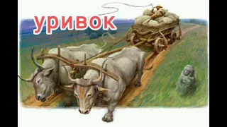 Хіба ревуть воли як ясла повні? Уривок. Аудіокнига. Українська література 10 клас.