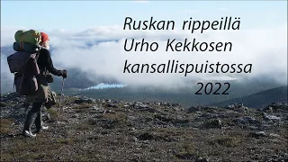 Urho Kekkosen kansallispuiston länsiosissa syksyllä 2022