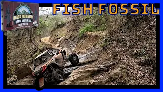 Black Mountain | Fish Fossil | Trail 26
