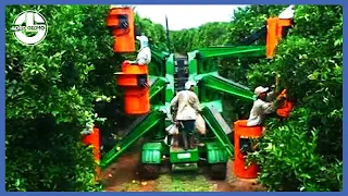 Amazing Modern and High Level Agriculture Machines