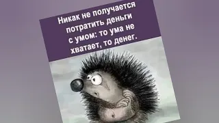 Никак не получается потратить деньги с умом: то ума не хватает,  то денег. 😉 #анекдоты #юмор