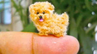 20 Smallest Dog Breeds In The World