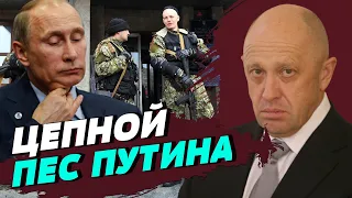 Пригожин сейчас главный цепной пес Путина — Геннадий Гудков