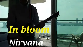 In Bloom Nirvana Cover