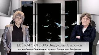 БЬЁТСЯ О СТЕКЛО Владислав Агафонов сл. С.Осиашвили муз. В. Агафонов