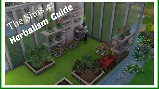 Sims 4 Skill Guide: Herbalism