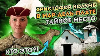 Капибары в дикой природе. Тайное место в Мар дель Плата. Эвкалиптовый лес, полный релакс. Аргентина