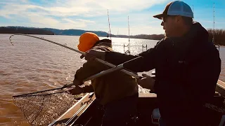 What Did I Hook Into This Time?? (Ohio River Catfishing)