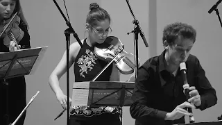 Vivaldi - Flute Concerto No. 2 in G minor - RV 439 La notte - Croatian baroque ensemble