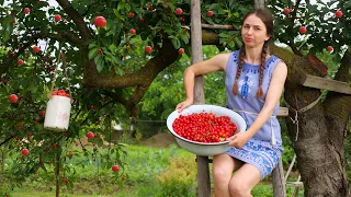 Great village lunch with CHERRIES 🍒 Cooking 3 recipes from Ukrainian food! Amazing drink