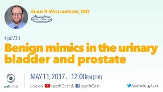 Benign mimics in the urinary bladder & prostate - Dr. Williamson (Henry Ford) #GUPATH