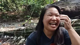 The Best jungle Trekking in Sabah ( Tabin Wildlife Reserve )