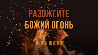 1. Разожгите Божий огонь – Серия «Огонь жизни». Рик Реннер