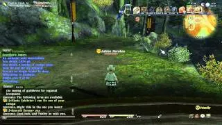 Let's Play Final Fantasy XIV [116] Journey to Camp Emerald Moss