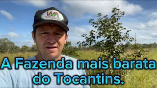 Fazenda a venda no Tocantins em Goiatins a mais barata da região
