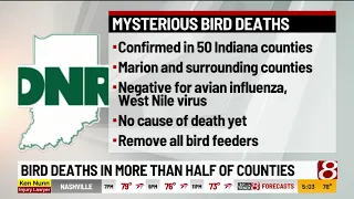 Bird deaths in more than half of Indiana counties