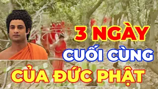 Ba ngày cuối cùng của Đức Phật (Thông tin chính xác nhất được trích trong kinh Nikaya)