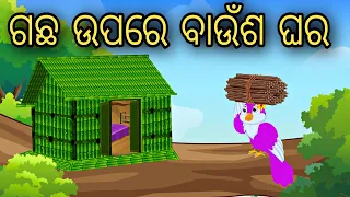 Gacha Upare Banusa Ghara || Odia Stories || Odia Gapa || Odia Bird Story || Odia Moral Stories