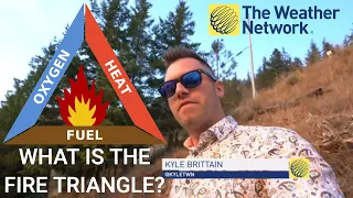 What is the 'fire triangle', and how does it relate to wildfires?