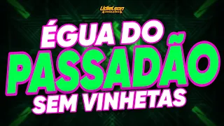 ÉGUA DO PASSADÃO PAIDÉGUA - SÓ AS PEDRAS LÁ DO FUNDO DO BAÚ - SEM VINHETAS