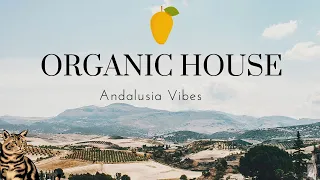 Organic House Sessions (Andalusian Vibeeez - How to make Organic House tutorial)