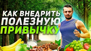 Метод образования любых привычек! Как внедрить полезную привычку?