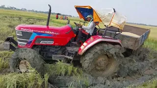 Mahindra Arjun Novo 605 Di Ms In Mud||Tractor Video ||