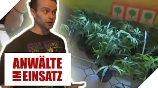 Hanfpflanzen im Kinderzimmer! Hilfe, mein Sohn ist Grasdealer! | Anwälte im Einsatz | SAT.1