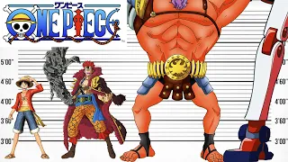 One Piece Size Comparison | Biggest Characters of One Piece | Satisfying Video