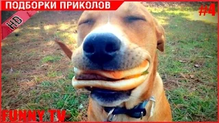 ЛУЧШИЕ ПРИКОЛЫ 2016 ГОДА | ПОПРОБУЙ НЕ ЗАСМЕЯТЬСЯ #4